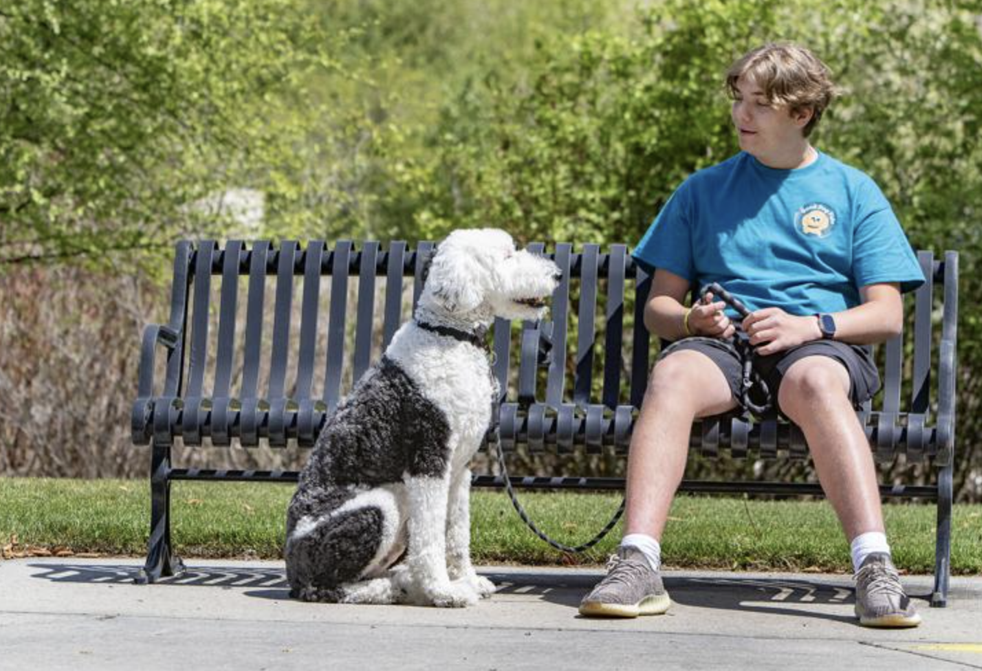 Celebrating an Outschool Learner: Boise Teen Turns Passion Into Profits with “Good Dog Fido”